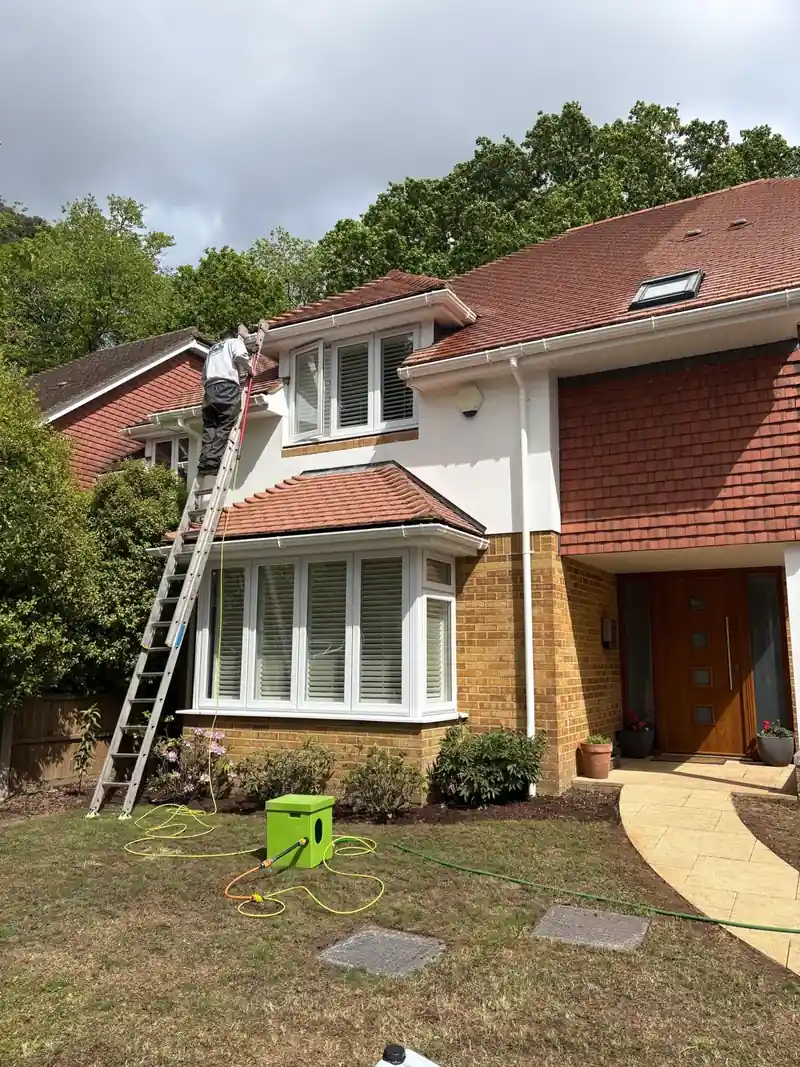 A house where we cleaned the roof, with our ladder up